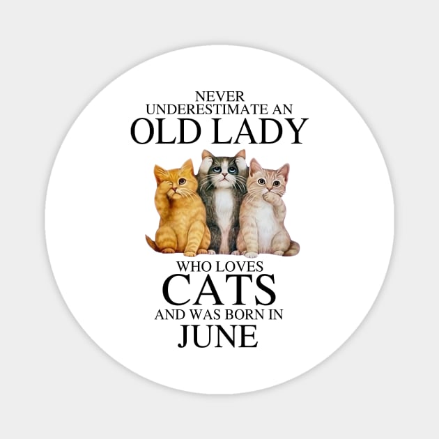 Never Underestimate An Old Lady Who Loves Cats June Magnet by louismcfarland